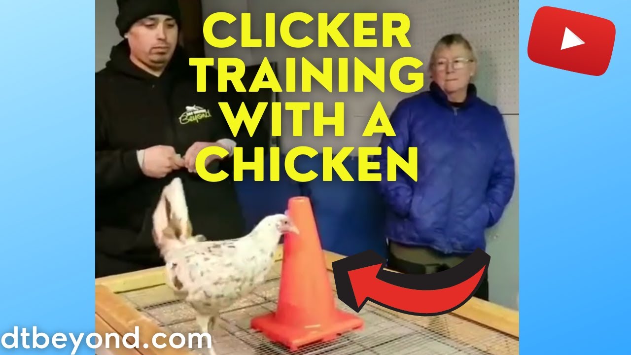 youtube placeholder image